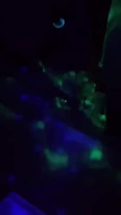 Check out the new drip