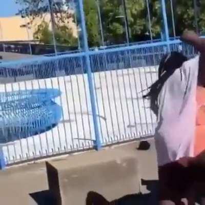 Reinforcements have Arrived!!