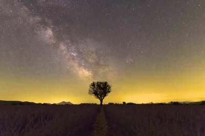 Night falling above lavender fields