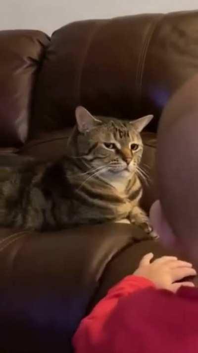 Cat gets annoyed by baby