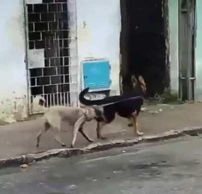 Taking my daughter for a walk