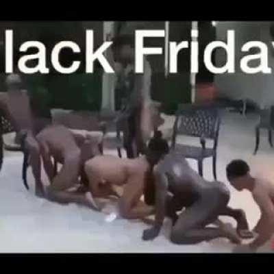 Wordington cute bunny dancing