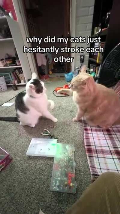 Unexpected intimate Wunk moment