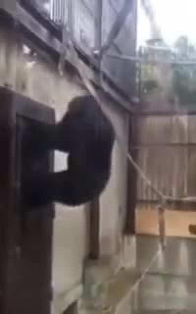 me checking for the update in the app store every 10 seconds