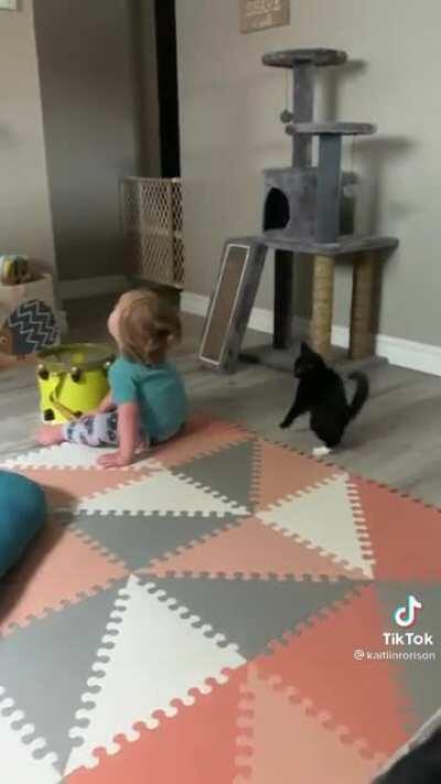 What is this thing?!