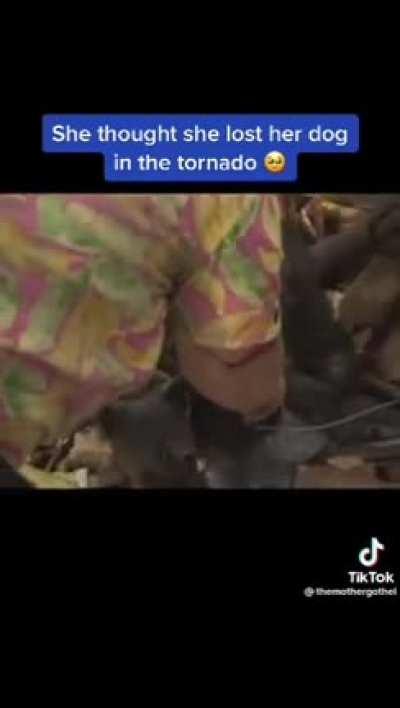 Imagine thinking you had lost it all then finding your loved pet