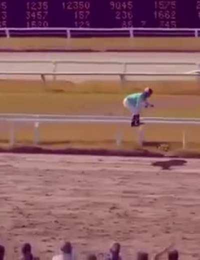 Скачки на невидимых конях