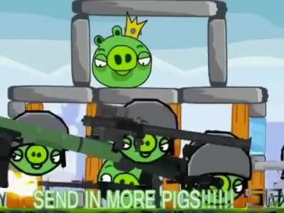 Angry birds if it was in America 