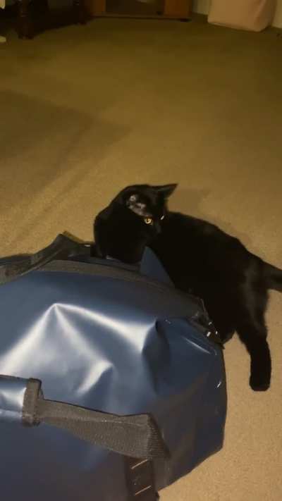 Zeroed in on that greeble like a laser