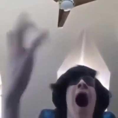 ẃ̵̼́͛h̴̬͙͙̮̀̋́͘ỷ̷͉̰̭̕͝͠y̸͈̗̤̌̄̂͘y̷̖͇͛̄̔͘ý̶̛̮ẏ̸̞́y̴̩͖͉̑̅y̸̛̻̻̲̿͐͠y̴̞̑̑y̶̪̜̥͓͂y̵̝͔̽̎̂ÿ̴́̓ͅý̷̨̨͜y̵͇̆̅ÿ̶̞́͒̋̕