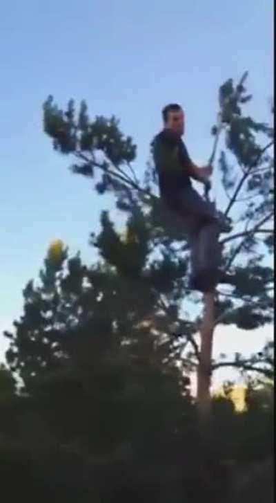 wcgw swinging from a tree