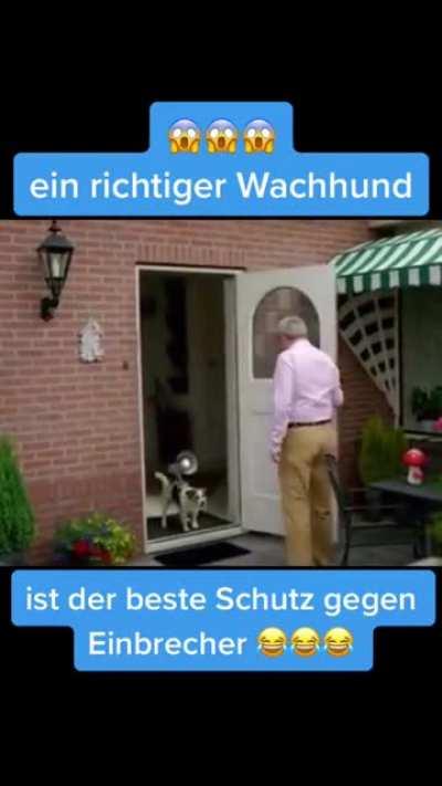 Professor, your greatest creation...