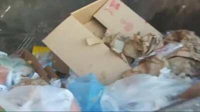 Live streamer eats chicken from a dumpster