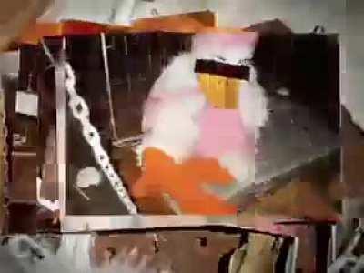 Thanks, I hate duck tales.