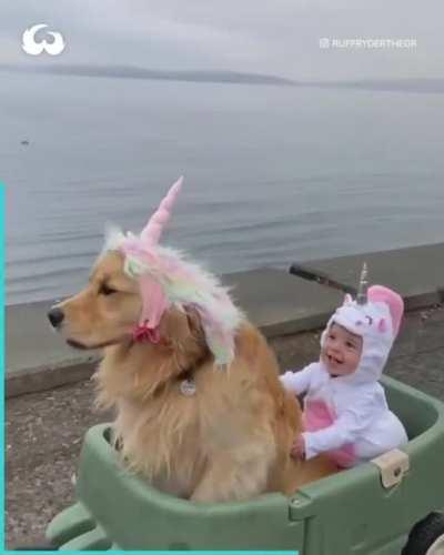 They’re turning me into a unicorn