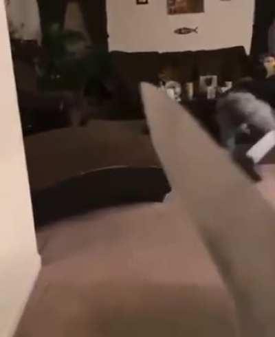 people in horror movies