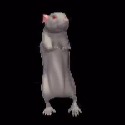 fascinating mouse-like creature sings for you