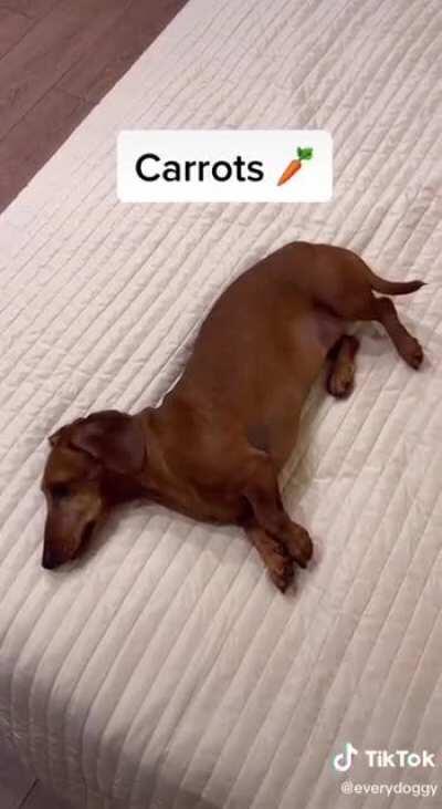 Did your say chicken?