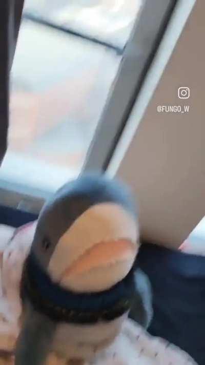 sorry I little bit drunk