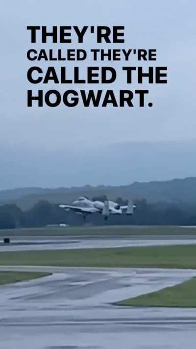 I wonder which house the Sorting Hat would pick for it