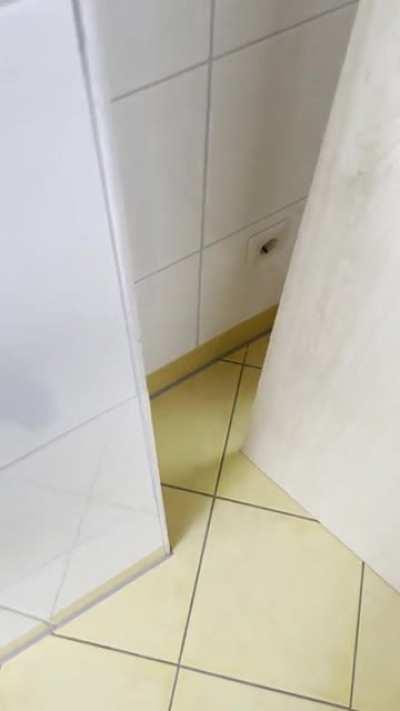 A door at my gf‘s house