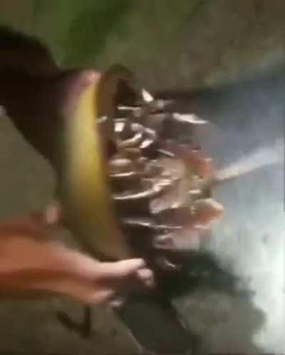 Like something out of an alien movie