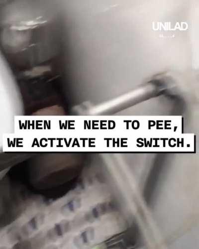 These designs are very human.