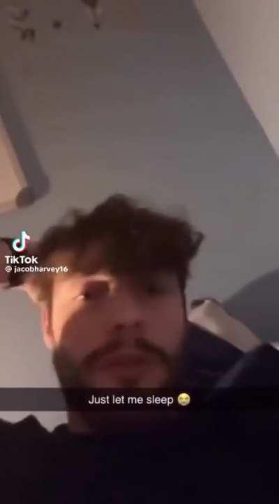 Someone commented “cute dog” on this TikTok