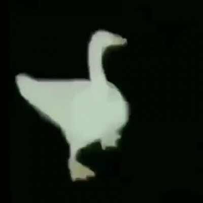 Freddy mains celebrating in post game chat after getting a 4k in 0.12 running a momento mori