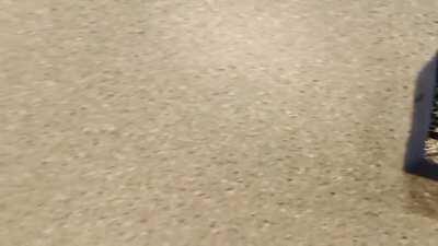 I had to unpack all these fiber optic connectors.