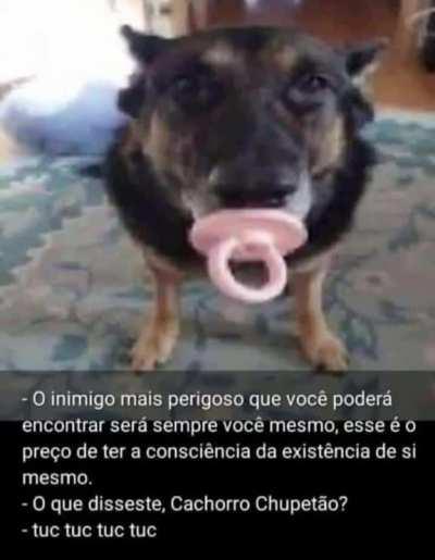 o que disseste cachorro chupetao?