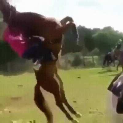 The horse had seen enough