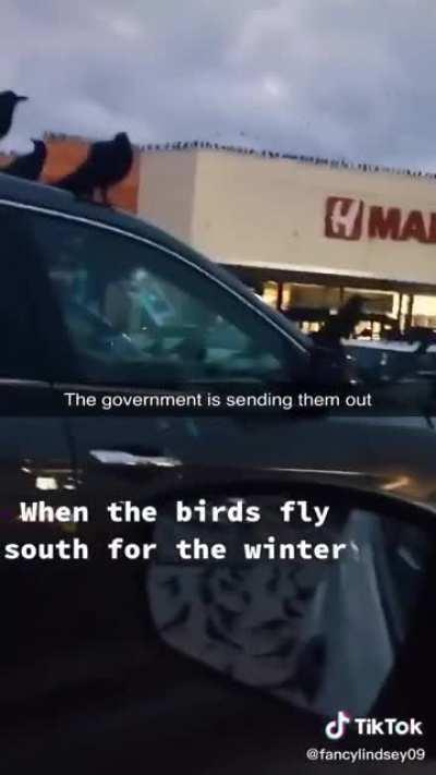 Can't believe people fall for this.