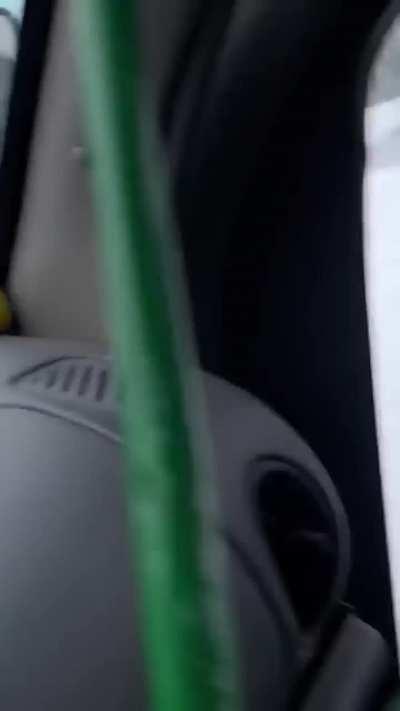 I think I finally found my dream job