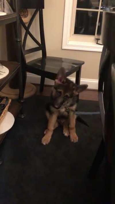 Head Tilts - Mastered