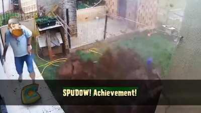 Feeding the potato mine