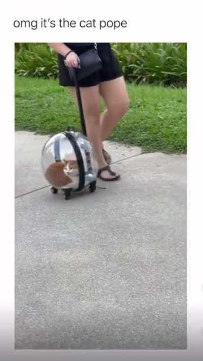 Папа римско-котолический