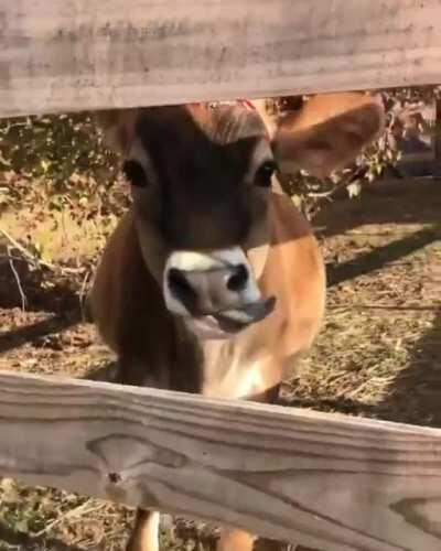 What a sweet baby.💗