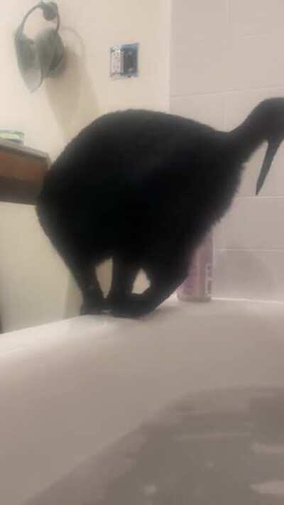 The moment of realization