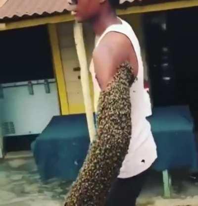Guy transports a bees colony by carrying the queen in his fist