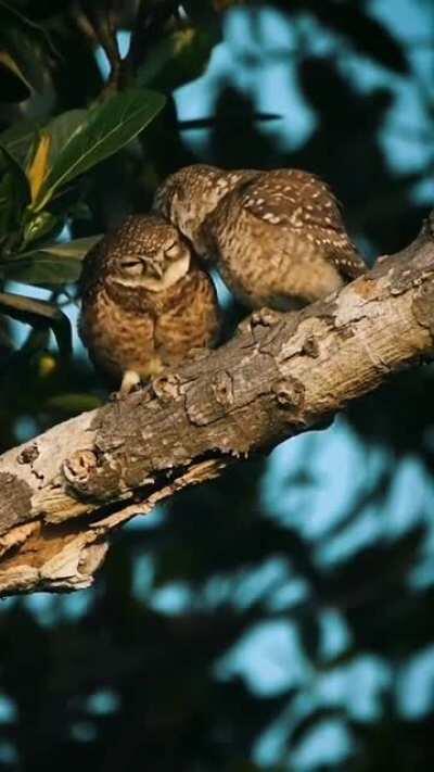 Give Them Privacy Please....