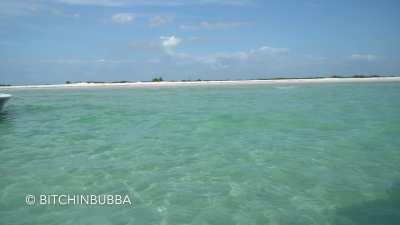 Showing off, just how we prefer it