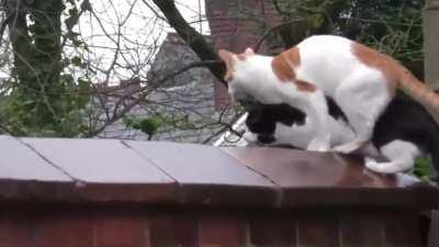 Alternate angle of the Hamilton/Verstappen Crash