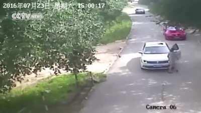 A woman decides to get out of her car to argue with her husband while visiting a tiger park in Beijing.