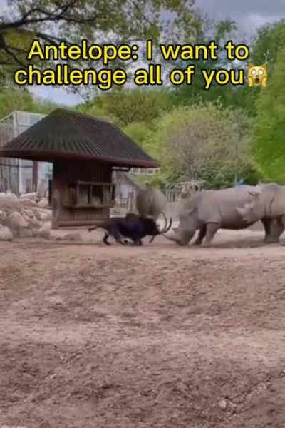 Fuc* You! And You! And you too!