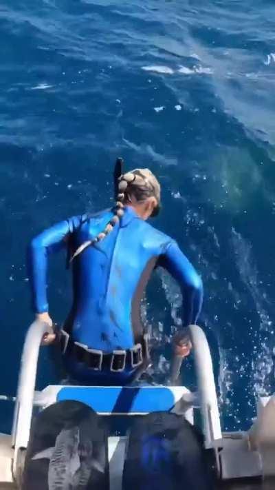 Close Call With Shark