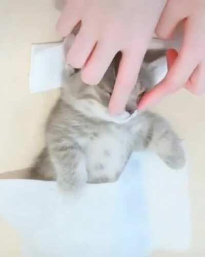 İt's her massage time