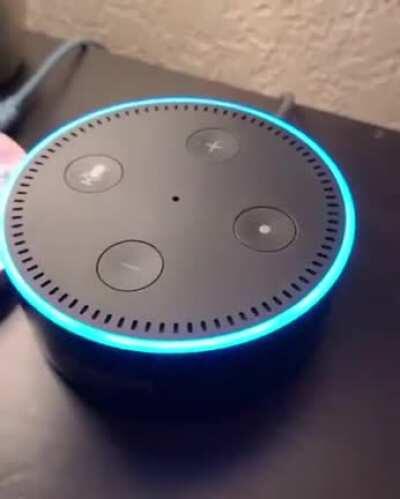 Alexa can get horny great