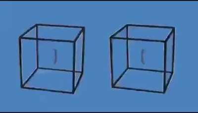 Believe it or not but those cubes aren't moving, your brain and your eyes are tricking you. Thats illusion!!