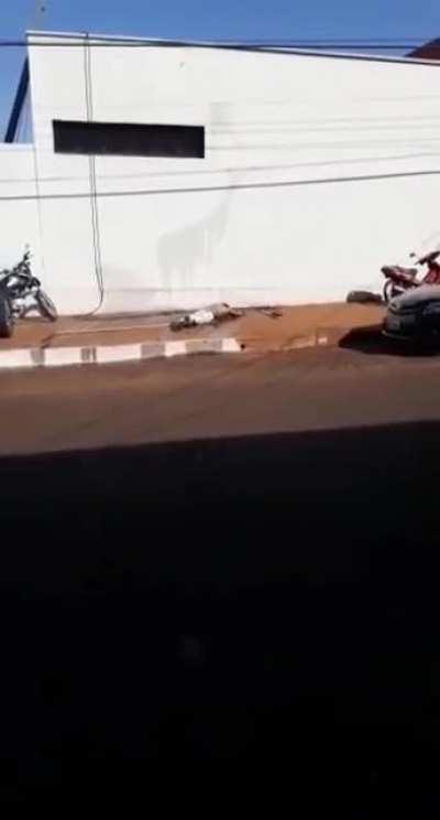 Prodding at power lines.